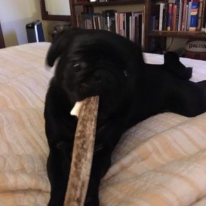 Meet your Posher, Maureen